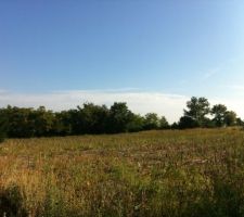 Vue d'ensemble du terrain depuis l'entr&eacute;e basse, quelques jours apr&egrave;s que les tournesols aient &eacute;t&eacute; r&eacute;colt&eacute;s.