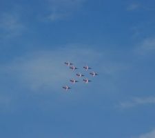 PAF