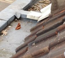 Les zinc sont très fatigués et les tuiles aussi