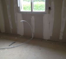 Et voila les tuyaux pousse