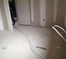 Et voila les tuyaux pousse