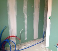 Et voila les tuyaux pousse