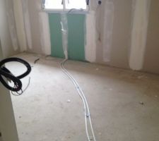 Et voila les tuyaux pousse