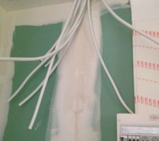 Et voila les tuyaux pousse