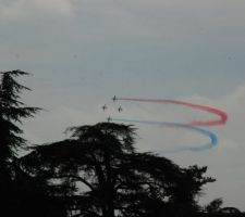 PAF