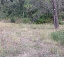 D&eacute;but de la journ&eacute;e y a du boulot!!