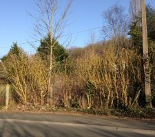 Devant du terrain avant l'&eacute;t&eacute;