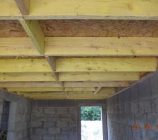 Tiens un plancher dans le garage, ce sera utile pour ranger le bazar et ensuite rentrer la voiture.