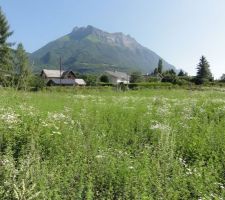 Magnifique vue sur la montagne
