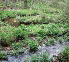 Ruisseau