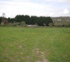 Terrain dans le "champ" au printemps