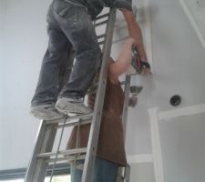 Bandes