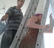 Bandes