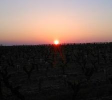 Vue des vignes du village (pas de chez moi héhé)