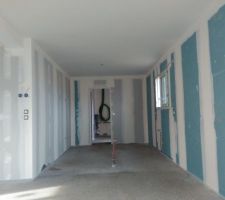 Chape liquide sèche