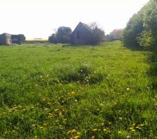 Terrain visit&eacute; terrain adopt&eacute; (1134m&sup2;)