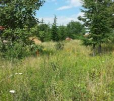 Voici le terrain, malheureusement les arbres n'ont pas pu Ãªtre conservÃ©s.