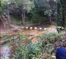 Habituellement quelques flaques d'eau, ce jour un joli ruisseau sous notre terrain