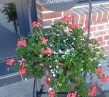 Géranuims et bacopa à l'entrée de la maison souhaitant la bienvenue