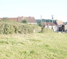 Le buisson qui va être enlevé par mon homme.