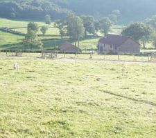 Nos plus proche voisin. La vue que l'on aura des chambre et de l'entrée.