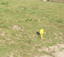 Le bornage de la parcelle.