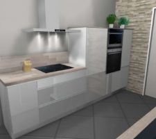 Notre projet cuisine - IXINA - côté gauche
3 demi-colonnes (dont une avec micro-onde et four intégré)   casserolier   plaque à induction   hotte   placard