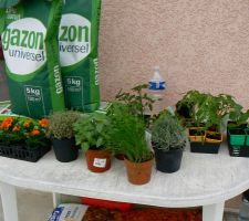 Tout pour le potager et la pelouse