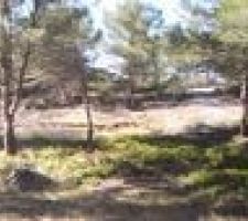 Terrain au d&eacute;but du lotissement