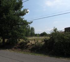 La ligne téléphonique trop basse au niveau de l'entrée du terrain.