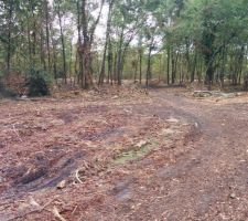 On voit bien que le terrain a &eacute;t&eacute; d&eacute;bois&eacute;, notamment dans la zone au fond