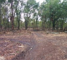 On voit bien que le terrain a &eacute;t&eacute; d&eacute;bois&eacute;, notamment dans la zone au fond