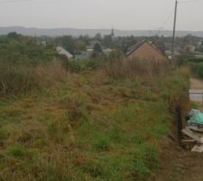 Futur chemin d'acc&egrave;s donc on ne debroussaille pas &agrave; cet endroit.