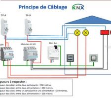 Cablage KNX