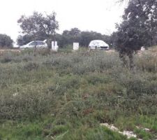 Voil&agrave; une vue d'ensemble de notre terrain.