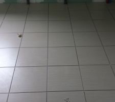 Carrelage salle de bain parentale ...