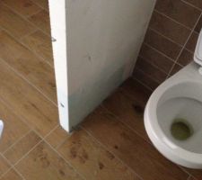 On voit que c'est un homme qui a pris la photo!! (le détail de la cuvette pas fermée!)