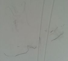 Mes portes....pieces de vie