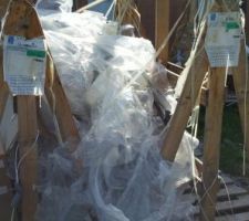 Voilà le bordel des ouvriers