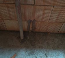 Gros pâté comme promis remplacé par de la brique