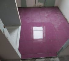 Carrelage salle s'eau en cours