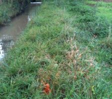 Mise en place du bornage officiel par le g&eacute;om&egrave;tre