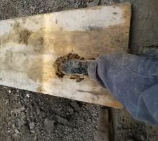 Chaussures pleine de glaise