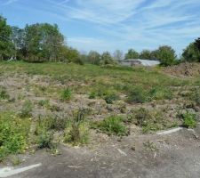 Voici quelques photos de notre future terrain