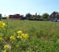 Voici quelques photos de notre future terrain