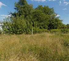 Le terrain, sous le soleil