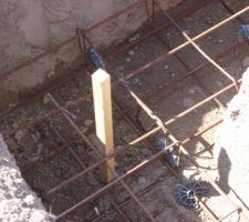 Détail d'un angle pour avis