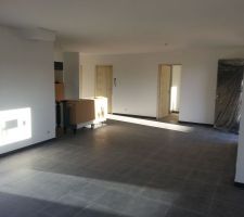 Salon / s&eacute;jour / cuisine