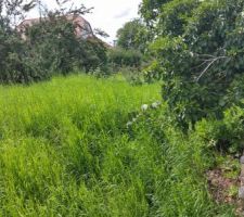 Sur la droite du mur, un mur en moellons, que nous souhaitons garder.