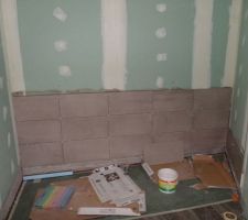 Salle de bain de la suite parentale
